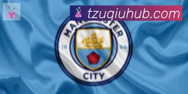 T足球合作伙伴